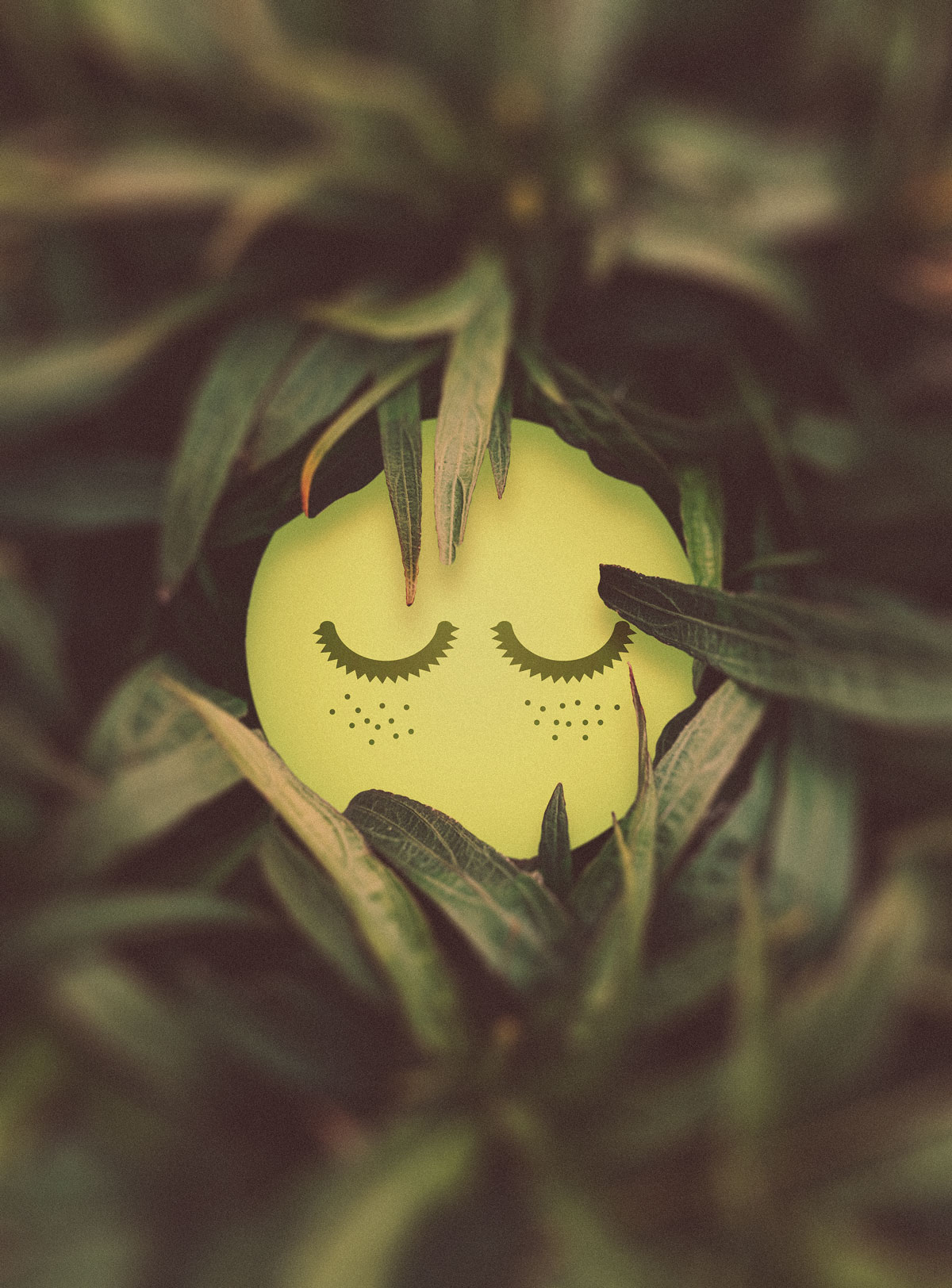 drift-tea-lounge_logo-KV_A_asv01