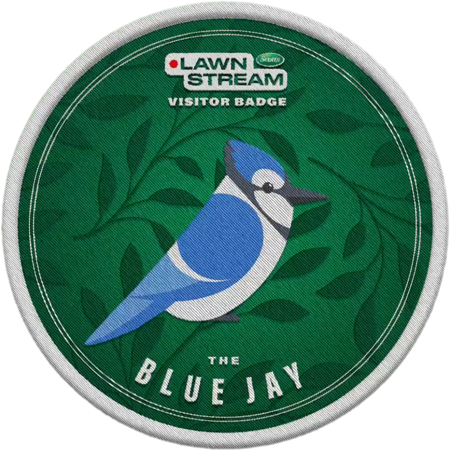 BLUE-JAY