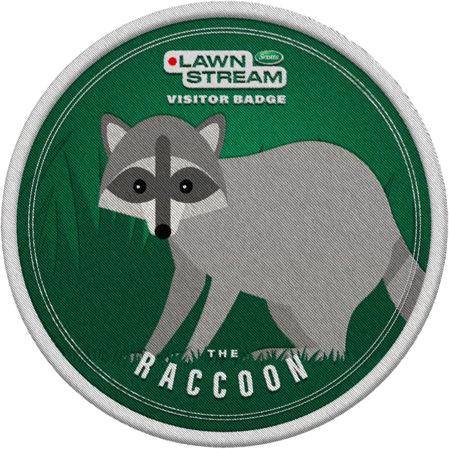 RACCOON