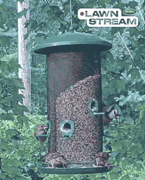 SMG_Insta_Post_BirdClub_TRIMMED-LR